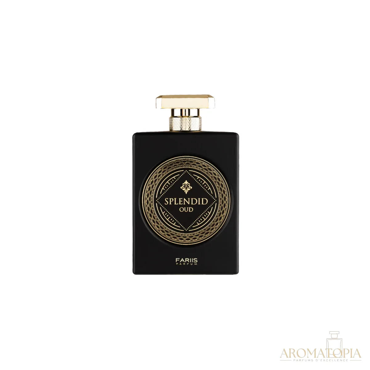 Splendid Oud Fariis Parfum Edp 100ML Hombre. — Fariis - Riiffs