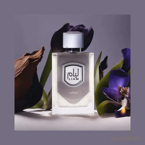 Lattafa Liam Grey — decant de 5 ml y 10 ml en Aromatopia